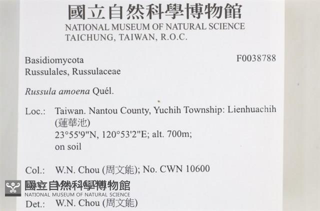 登錄號:F0038788藏品圖，第2張