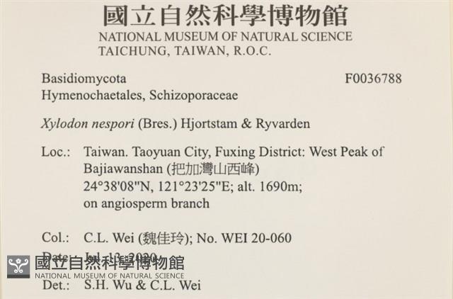 登錄號:F0036788藏品圖，第2張