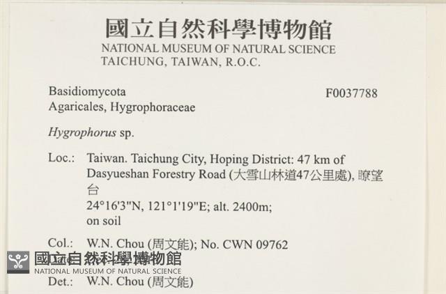 登錄號:F0037788藏品圖，第2張