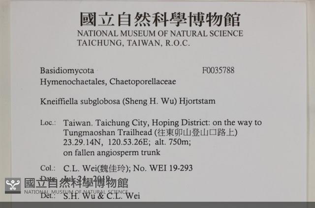 登錄號:F0035788藏品圖，第2張