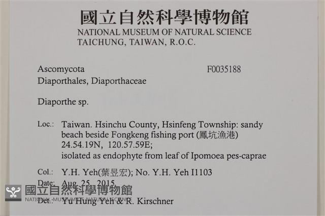 登錄號:F0035188藏品圖，第2張