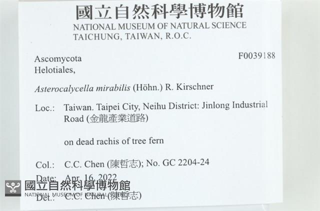 登錄號:F0039188藏品圖，第2張