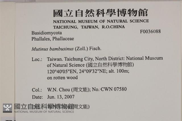 登錄號:F0036088藏品圖，第2張