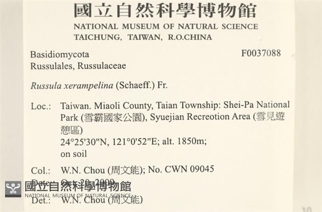 登錄號:F0037088藏品圖，第2張