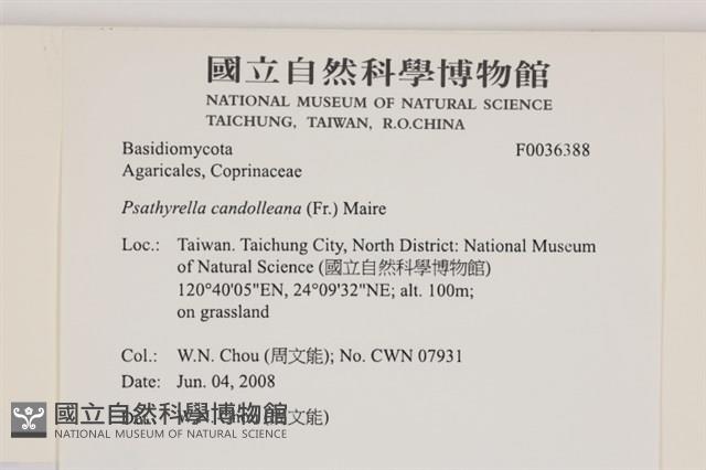 登錄號:F0036388藏品圖，第2張