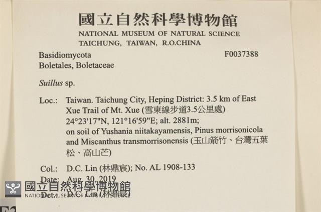 登錄號:F0037388藏品圖，第2張