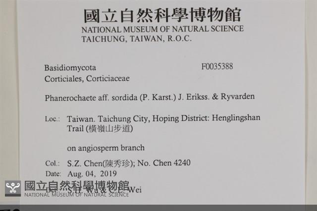 登錄號:F0035388藏品圖，第2張