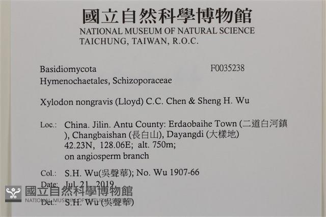 登錄號:F0035238藏品圖，第2張