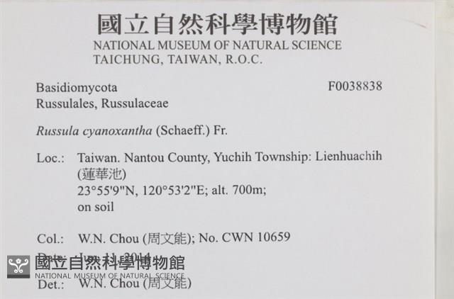 登錄號:F0038838藏品圖，第2張