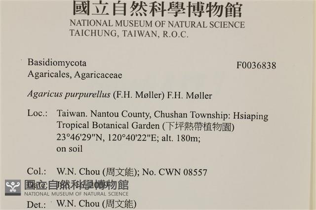 登錄號:F0036838藏品圖，第2張