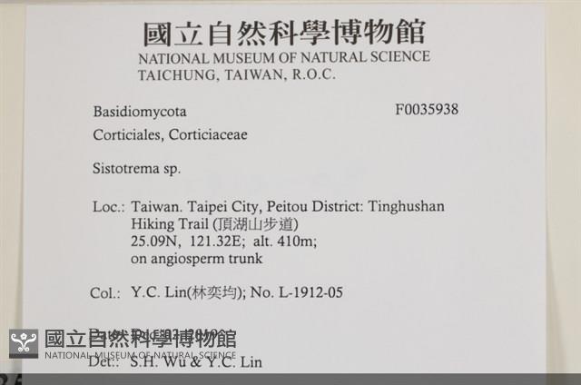 登錄號:F0035938藏品圖，第2張