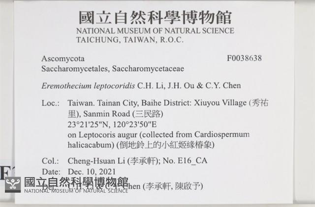 登錄號:F0038638藏品圖，第2張