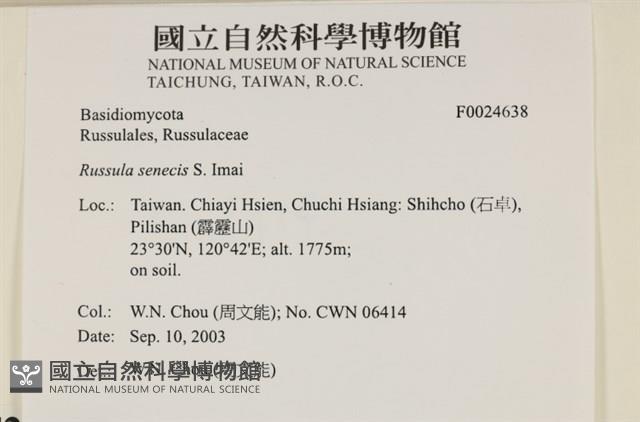 登錄號:F0024638藏品圖，第4張