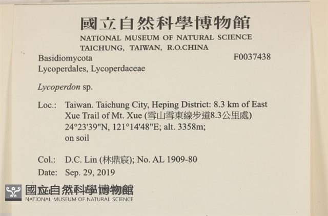 登錄號:F0037438藏品圖，第2張