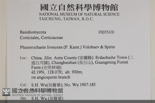 登錄號:F0035438藏品圖，第2張
