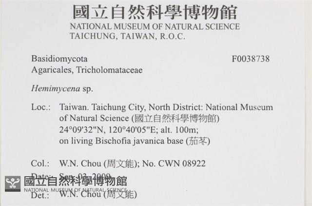 登錄號:F0038738藏品圖，第2張