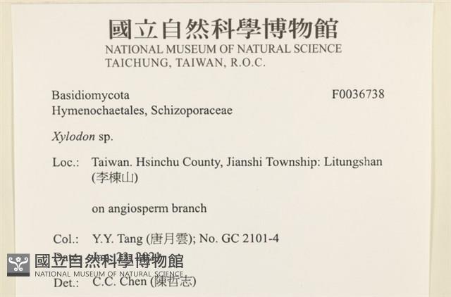 登錄號:F0036738藏品圖，第2張