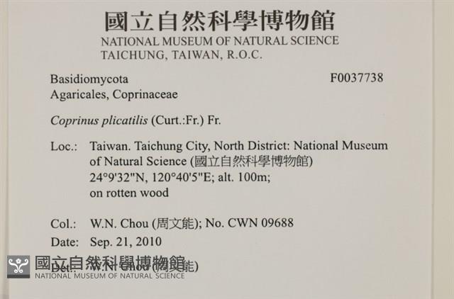 登錄號:F0037738藏品圖，第2張