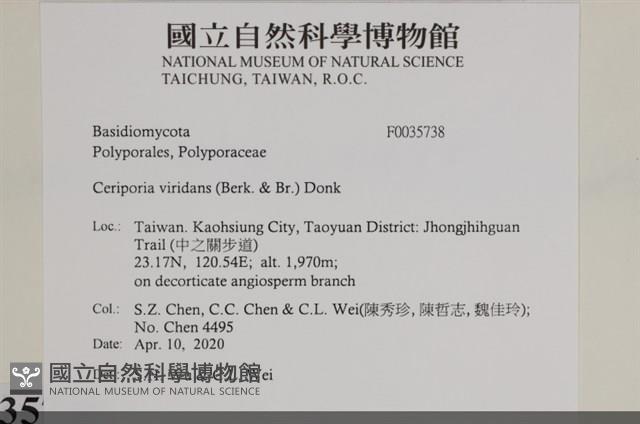 登錄號:F0035738藏品圖，第2張