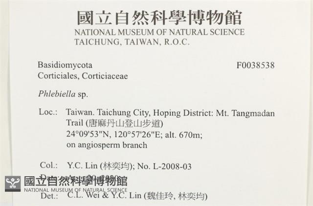 登錄號:F0038538藏品圖，第2張