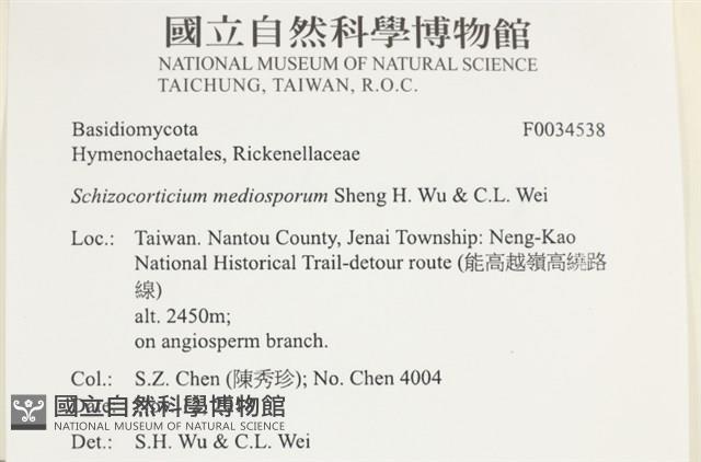 登錄號:F0034538藏品圖，第3張