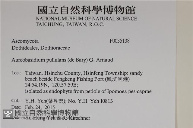 登錄號:F0035138藏品圖，第2張