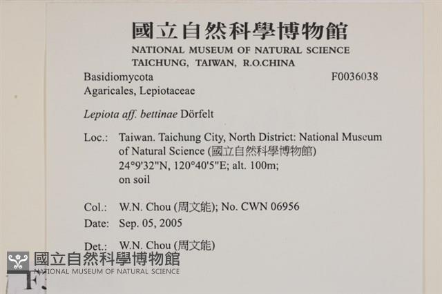 登錄號:F0036038藏品圖，第2張