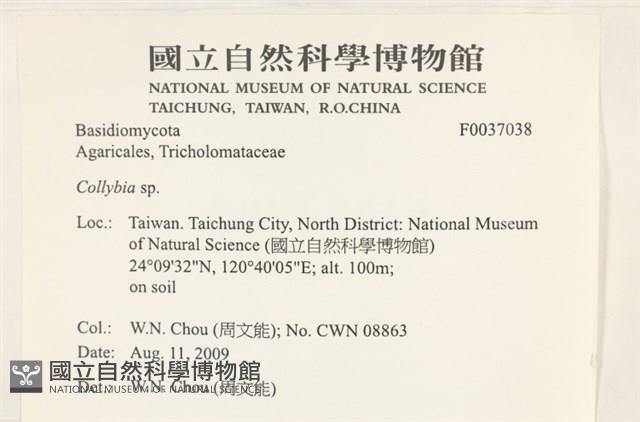 登錄號:F0037038藏品圖，第2張