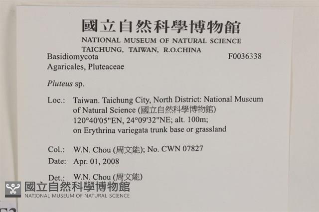 登錄號:F0036338藏品圖，第2張