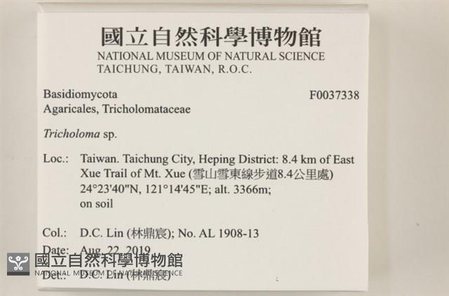 登錄號:F0037338藏品圖，第2張