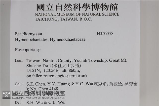 登錄號:F0035338藏品圖，第2張