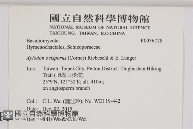 登錄號:F0036278藏品圖，第2張