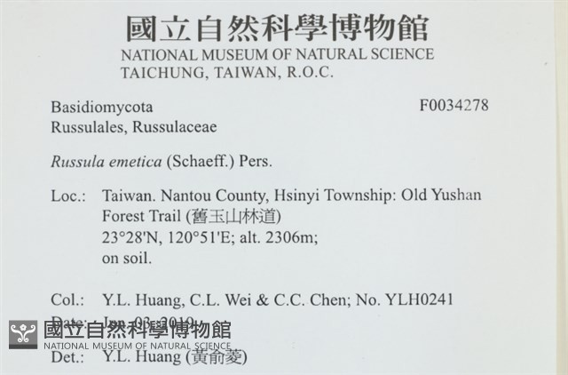 登錄號:F0034278藏品圖，第4張