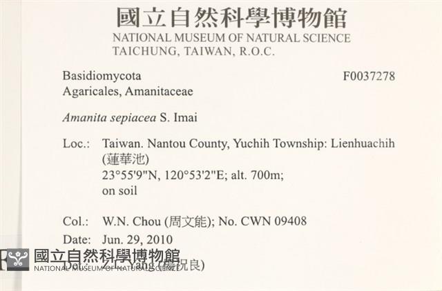 登錄號:F0037278藏品圖，第2張