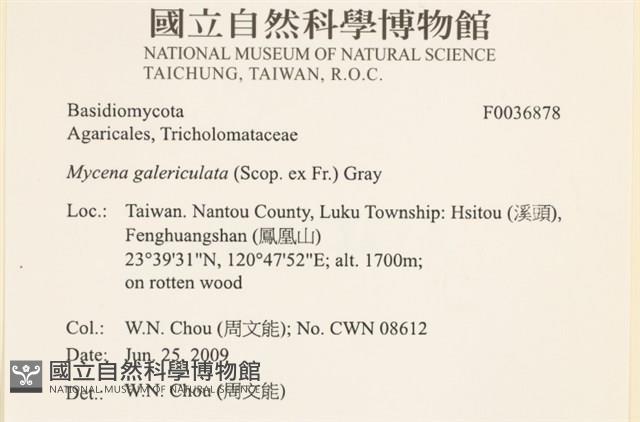 登錄號:F0036878藏品圖，第2張