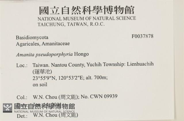 登錄號:F0037878藏品圖，第2張