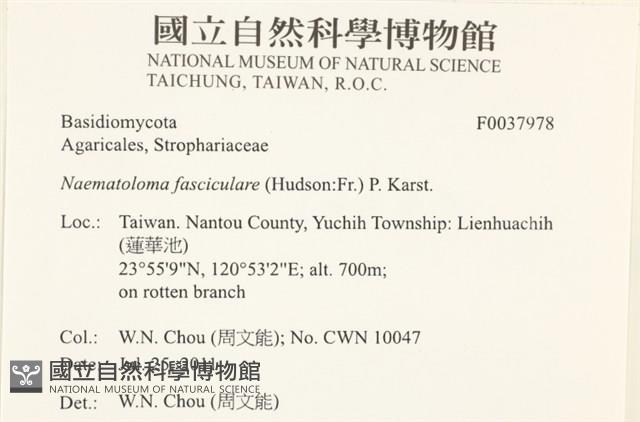 登錄號:F0037978藏品圖，第2張
