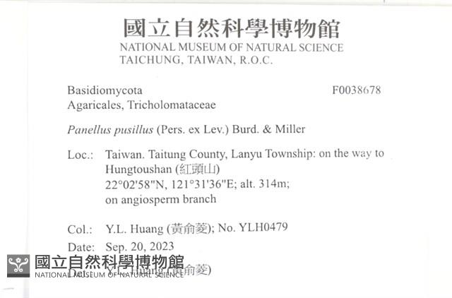 登錄號:F0038678藏品圖，第2張