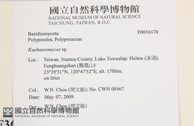 登錄號:F0036678藏品圖，第2張