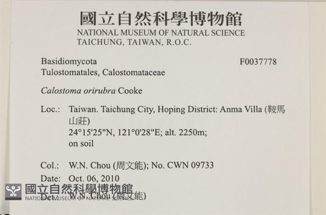 登錄號:F0037778藏品圖，第2張