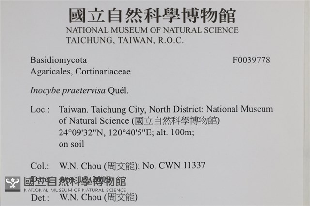 登錄號:F0039778藏品圖，第2張