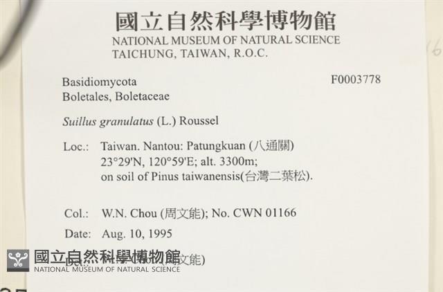 登錄號:F0003778藏品圖，第4張