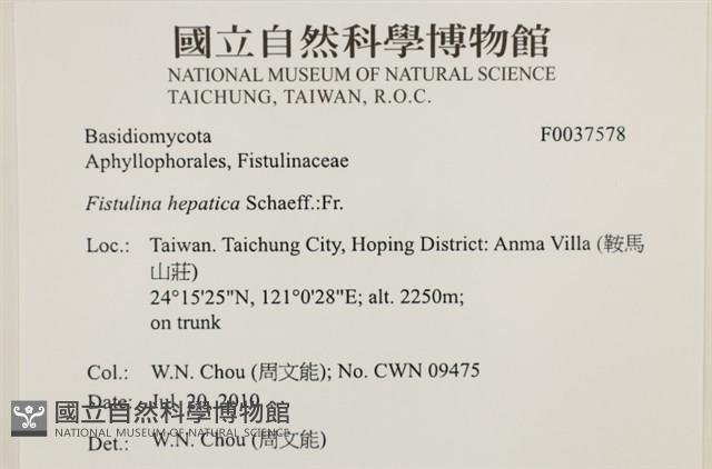登錄號:F0037578藏品圖，第2張