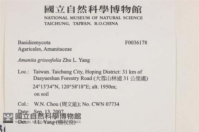 登錄號:F0036178藏品圖，第2張