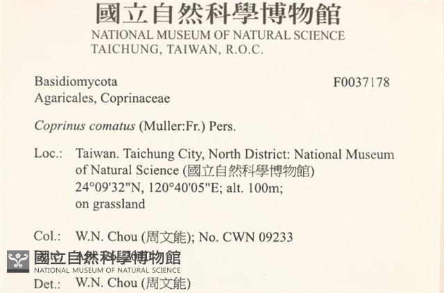 登錄號:F0037178藏品圖，第2張
