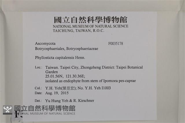 登錄號:F0035178藏品圖，第2張