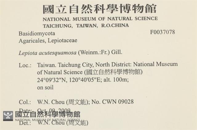 登錄號:F0037078藏品圖，第2張