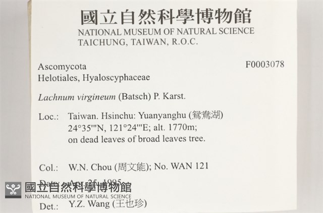 登錄號:F0003078藏品圖，第4張