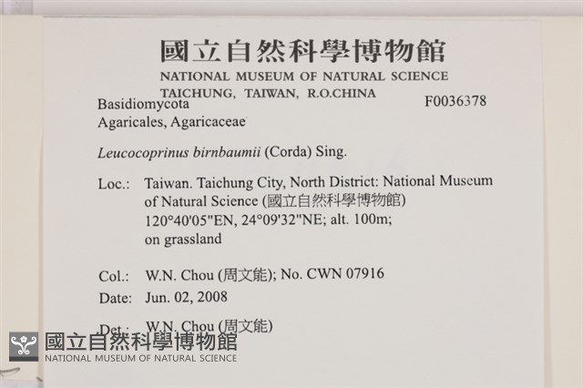 登錄號:F0036378藏品圖，第2張
