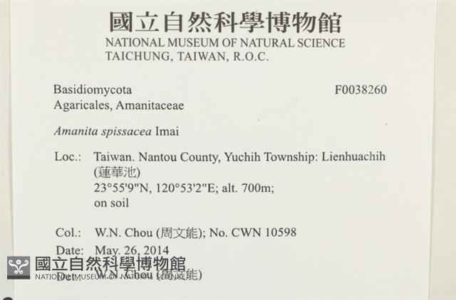 登錄號:F0038260藏品圖，第2張